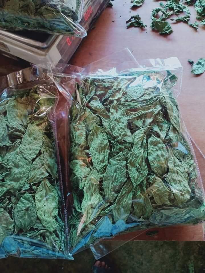 Dried Molokhia - Image 4