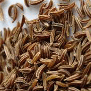 Caraway