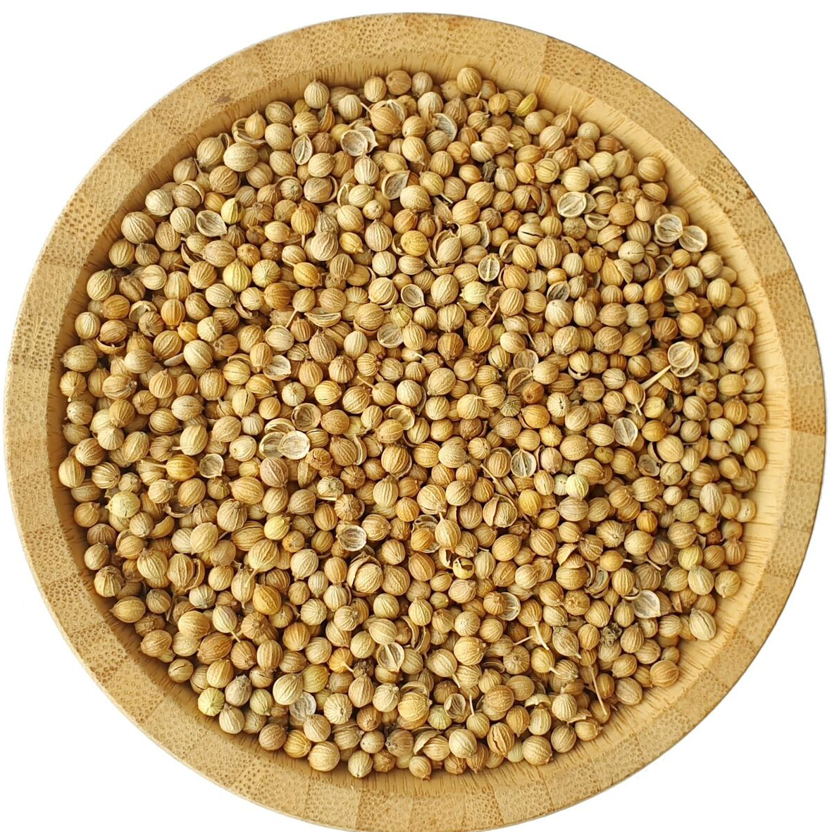 Coriander - Image 2