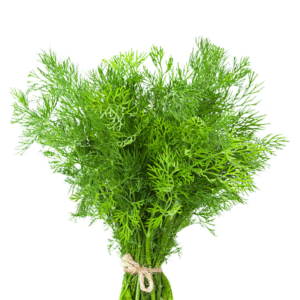 Dill